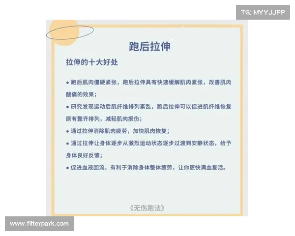静态拉伸的重要性与正确方法解析促进身体柔韧性和预防运动损伤
